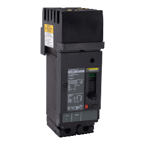 Schneider Electric Molded Case Circuit Breaker; 2-Pole; 45A; 600VAC/250VDC; 18kA @ 480VAC; I-Line; UL 489